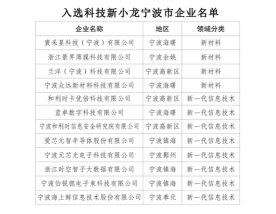 浙江首批“科技新小龙”，宁波军团何以脱颖而出？